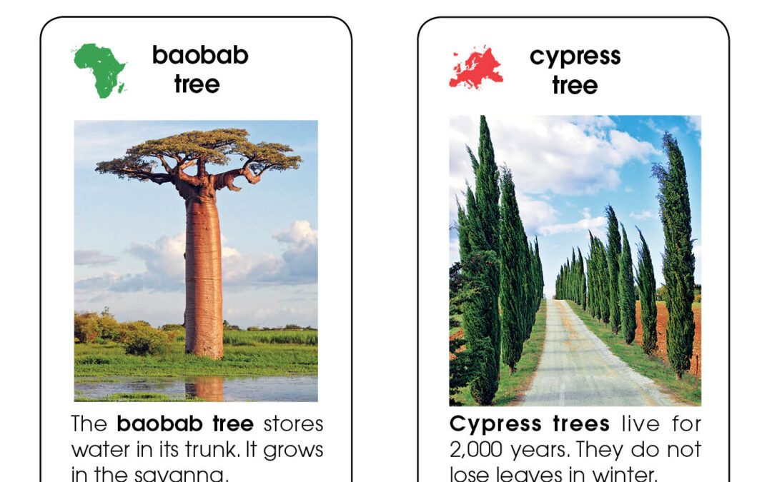 World Trees Card Set
